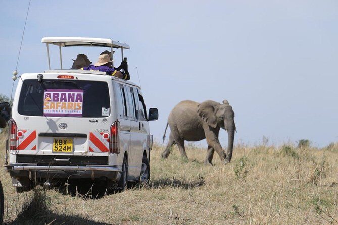 3 Days Masai Mara Safari - Who Is This Tour Best For?