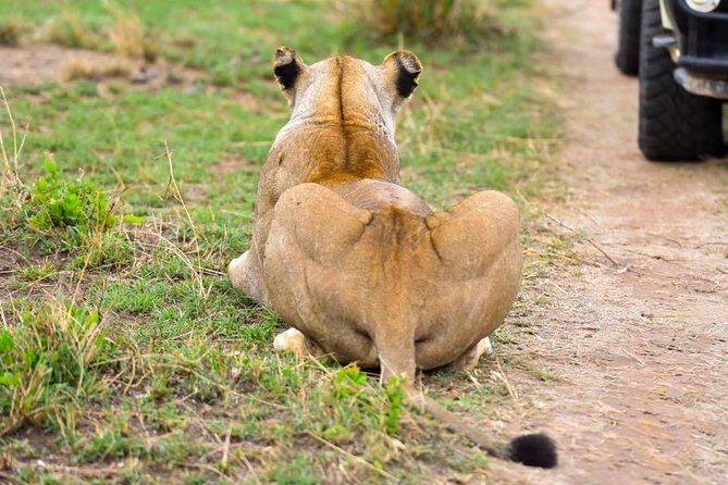 3 Days Masai Mara Safari - Final Thoughts