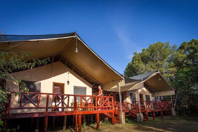 3 Days Masai Mara Wildebeest migration Budget safari - The Sum Up: Is This Safari Worth It?