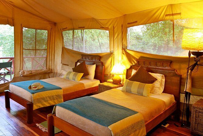 3 Days Masai Mara Wildebeest migration Budget safari - FAQ