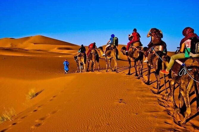 3 Days Merzouga Desert Shared Trip - Key Points