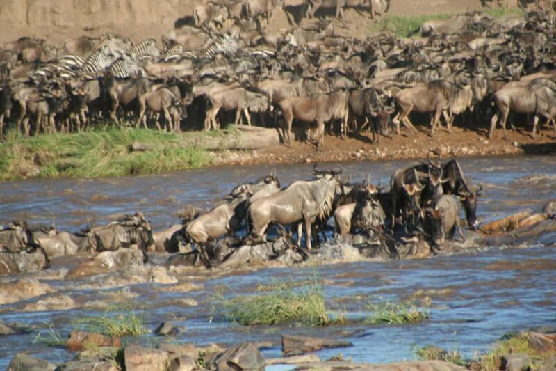 3 Days Migration Trip in Serengeti and Ngorongoro - Transport, Accommodation, and Practicalities
