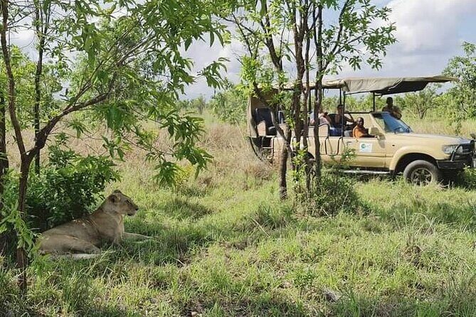 3 Days Mikumi National Park From Zanzibar or Dar es salaam - FAQ