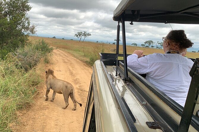 3 Days Mikumi National Park Private Tour - Key Points