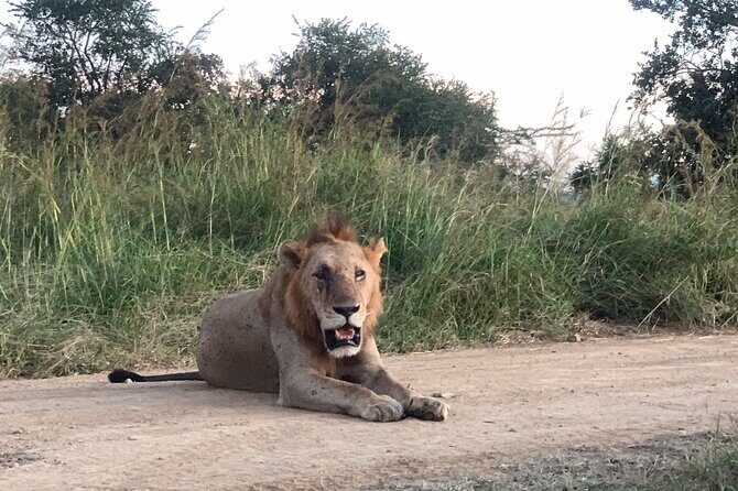 3 Days Mikumi National Park Private Tour - FAQ