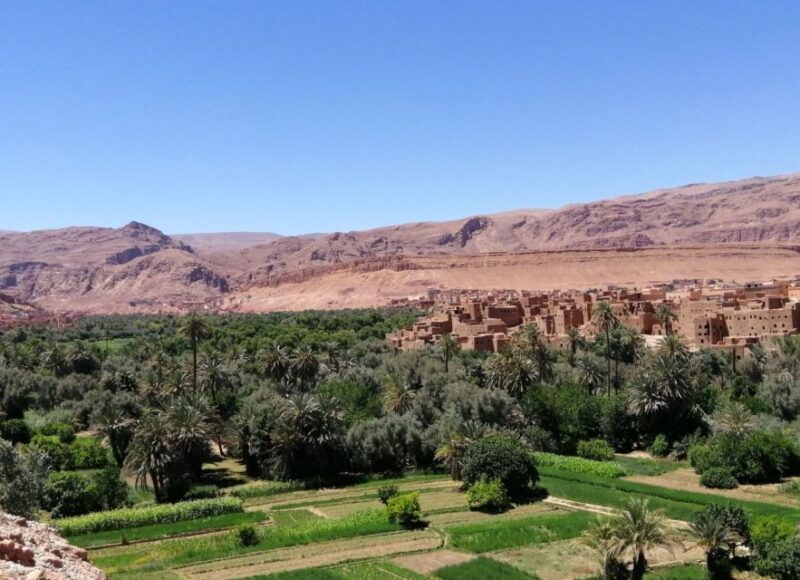 3 Days Morocco Sahara Desert Tour from Marrakech to Fes - Final Thoughts: Is This Tour Worth It?