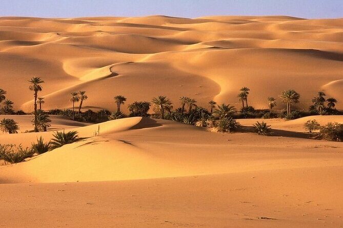 3 Days Multi-day Tour at Marrakech Desert - What’s Included & What to Expect