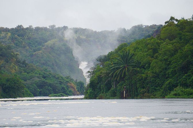3 Days Murchison Falls Adventure Wildlife Safari Uganda Tour - Who is this tour perfect for?  