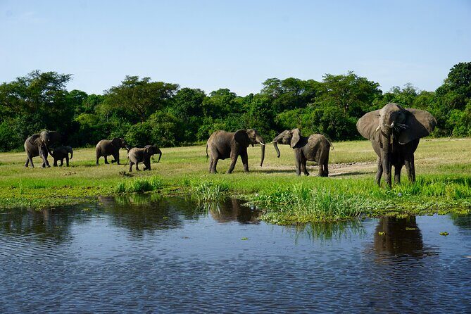 3 Days Murchison Falls Adventure Wildlife Safari Uganda Tour - Key Points