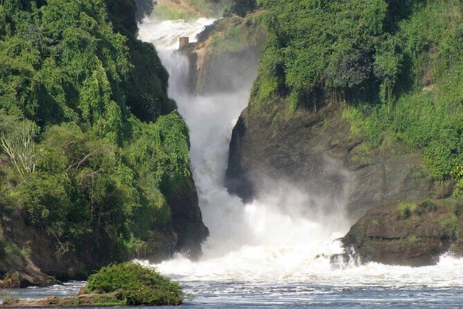 3-Days Murchison Falls and Ziwa Rhino Sanctuary - Authentic Experiences and What Travelers Say