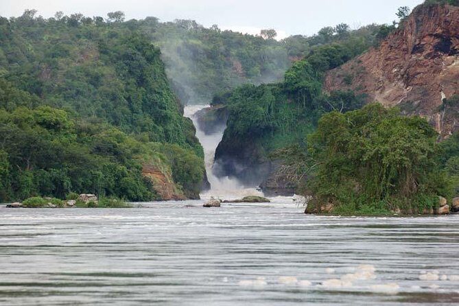 3 days Murchison Falls, Boat cruise and wildlife game viewing - What to Expect on This Murchison Falls Safari