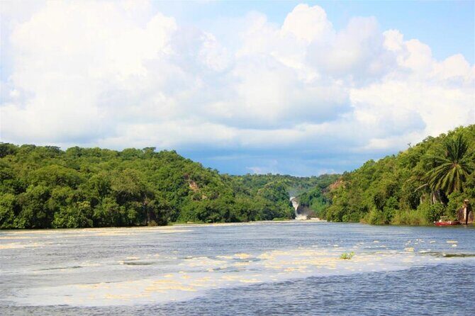 3 Days Murchison Falls National Park Safari & Rhino tracking - The Sum Up