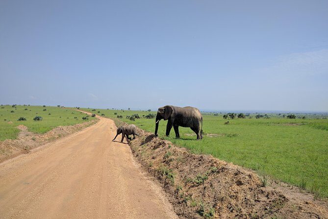 3 Days Murchison falls park Uganda - The Value of Practical Inclusions