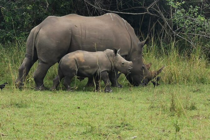 3 Days Murchison falls park Uganda - FAQ