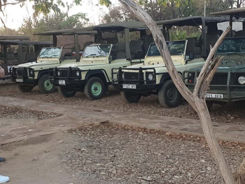 3 DAYS NYERERE NATIONAL PARK FROM ZANZIBAR BY FLIGHT. - Day 1: From Zanzibar to Nyerere National Park – Game Drive