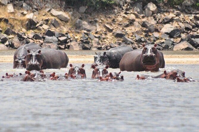 3 Days Nyerere National Park Safari (Selous Game Reserve) - Final Thoughts: Is This Safari Worth It?