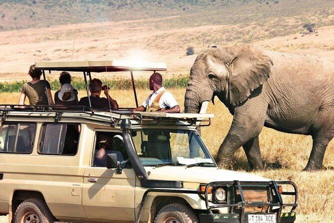 3 Days of Camping Bliss in Serengeti and Ngorongoro Crater - The Sum Up