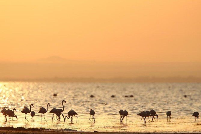 3 Days of Camping Bliss in Serengeti and Ngorongoro Crater - FAQ