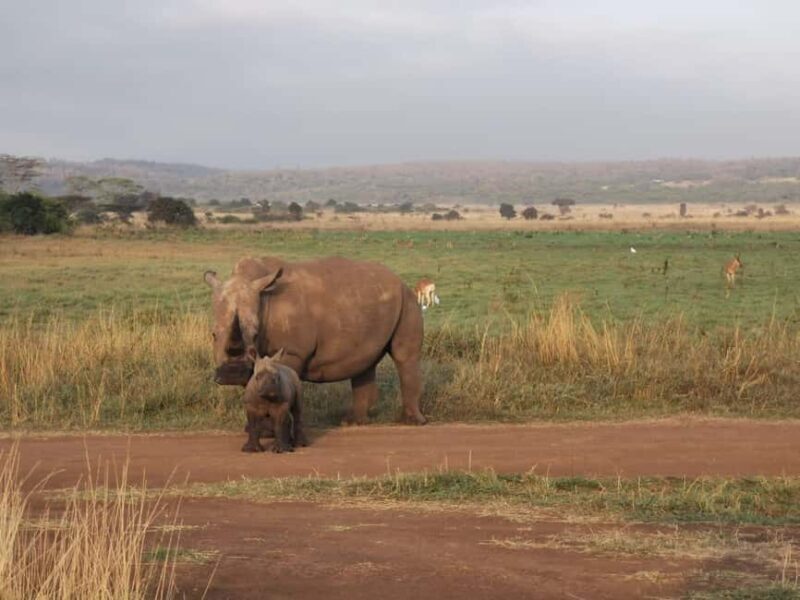 3 Days of Wildlife Wonder in Amboseli National Park - FAQ