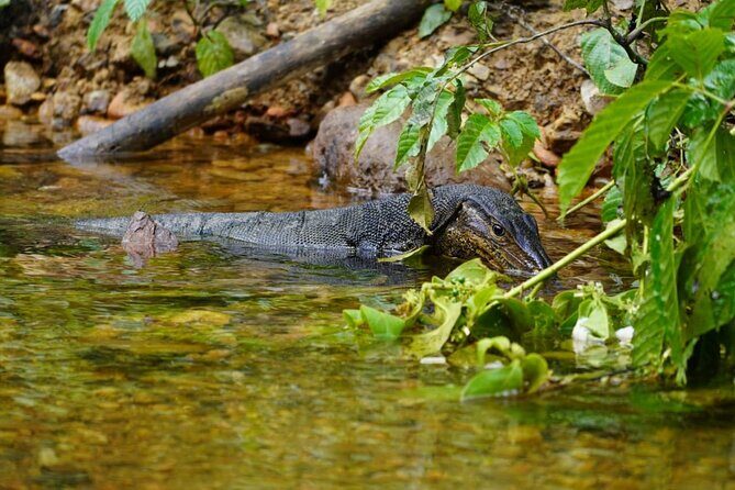 3 Days Orangutan Sumatra Jungle Trekking with Rafting - Who This Tour Best Suits