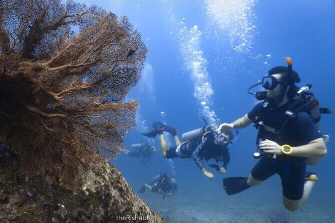 3 Days Phuket Open Water Diver Course & Scuba with License Guide - Transport, Schedule, and Group Experience