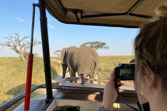 3 Days Private Budget Safari to Tarangire and Ngorongoro Crater - What to Expect from the Tour