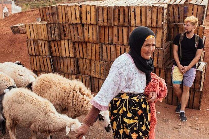 3 Days: Private Desert Tour from Marrakech to Merzouga via Atlas & Camel Trek - Value and Practicality