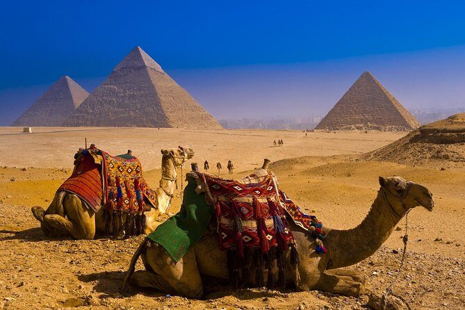 3 Days Private Guided Cairo Tour Package - What Reviewers Say