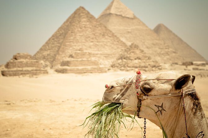 3-Days Private Guided Tour Package to Cairo, Giza and Alexandria - A Detailed Look at the 3-Day Itinerary