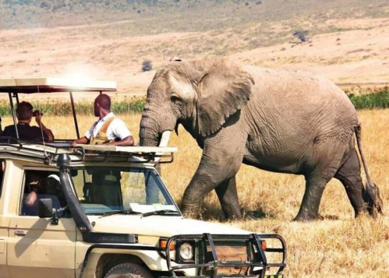 3 Days Private Midrange Safari from Nairobi - Practical Aspects and Tips for Travelers
