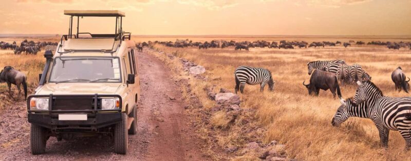 3 Days Private Midrange Safari from Nairobi - The Sum Up