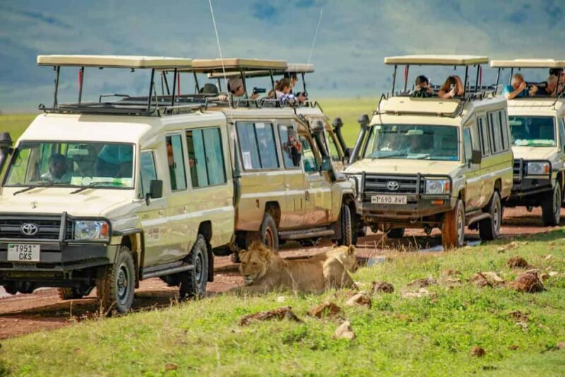3 Days Private Midrange Safari from Zanzibar with Flights - Key Points