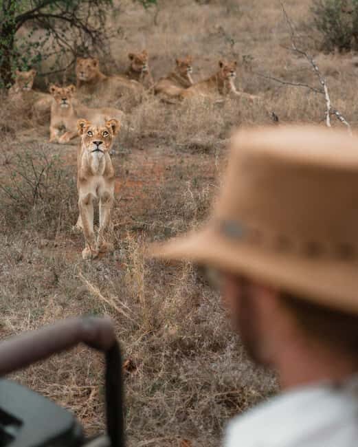 3 Days Private Midrange Safari from Zanzibar with Flights - An In-depth Look at the 3-Day Zanzibar Safari