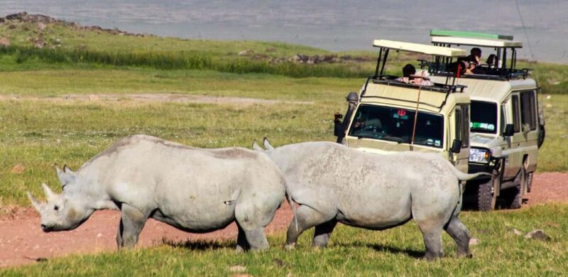 3 Days Private Midrange Safari from Zanzibar with Flights - Analyzing the Cost and Value