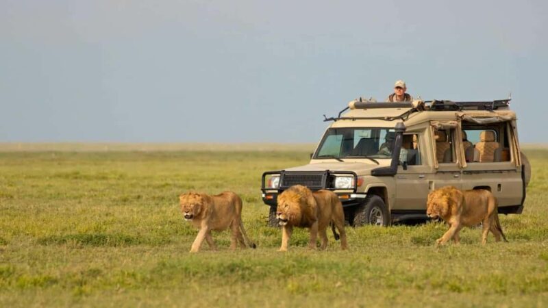 3 Days Private Midrange Safari from Zanzibar with Flights - FAQs