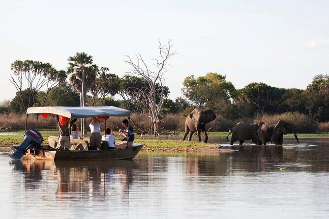 3-Days Private Nyerere NP Game Drive and Boat safari tour - Who Is This Tour Perfect For?