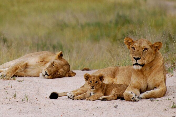 3-Days Private Nyerere NP Game Drive and Boat safari tour - Key Points