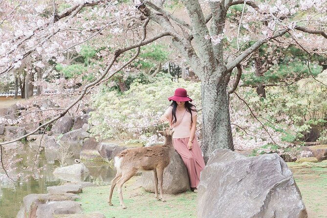 3-days-private-osaka-kyoto-and-nara-tour-with-english-driver-2