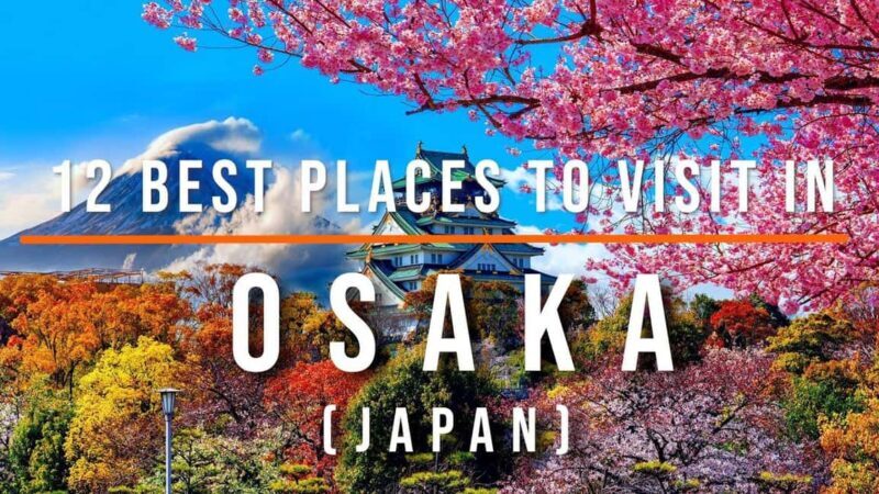 3 Days Private Osaka Kyoto and Nara Tour with English Driver - Day 2: Nara – A Calm, Cultural Paradise