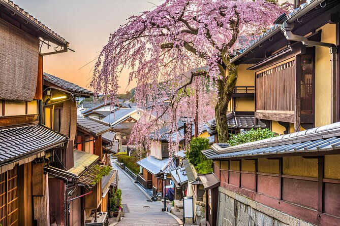 3-days-private-osaka-kyoto-and-nara-tour-with-english-driver
