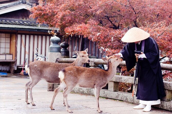 3-days-private-osaka-kyoto-and-nara-tour-with-english-driver
