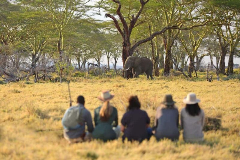 3 Days Private Safari To Tarangire and Ngorongoro Crater - Key Points