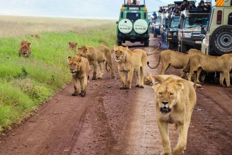 3 Days Private Safari To Tarangire and Ngorongoro Crater - The Itinerary Breakdown