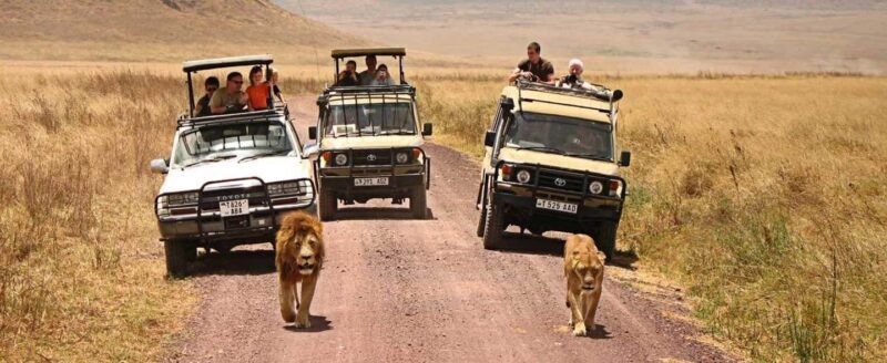 3 Days Private Safari To Tarangire and Ngorongoro Crater - Practicalities and Considerations