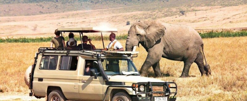 3 Days Private Safari To Tarangire and Ngorongoro Crater - Who Would Love This Safari?