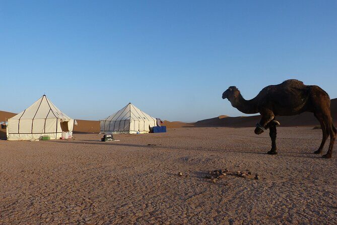 3-Days Private Sahara Desert Trek - Breaking Down the Itinerary