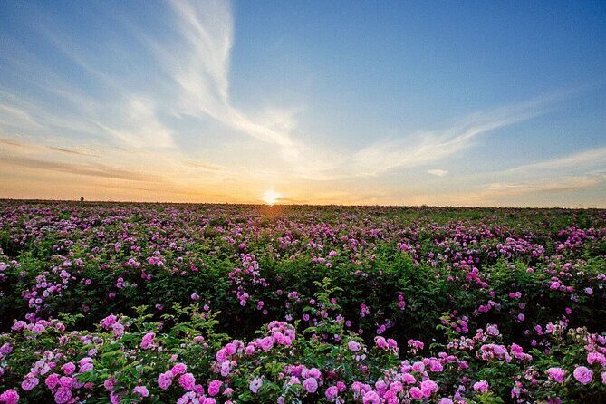 3 Days Private Sahara Tour from Marrakech to Merzouga - FAQ