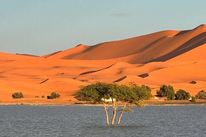 3 Days Private Tour From Marrakech to Sahara Desert Merzouga - Final Thoughts: Who Will Love This Tour?