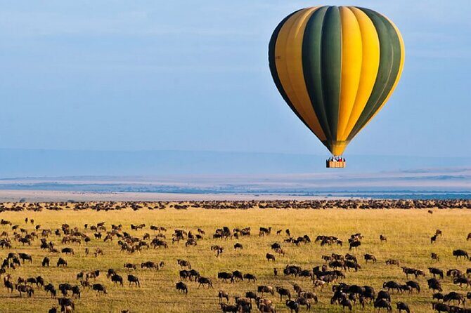 3 Days Private Tour in Maasai Mara With 4*4 Vehicle - Introduction: An Honest Look at the Maasai Mara Safari