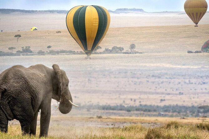 3 Days Private Tour in Maasai Mara With 4*4 Vehicle - The Experience: What You’ll Really Get